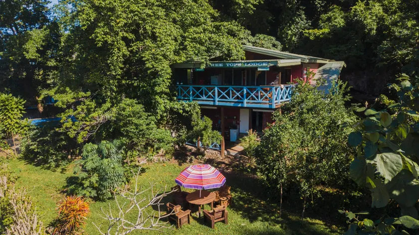 Treetops BnB & Bungalows - Image 1