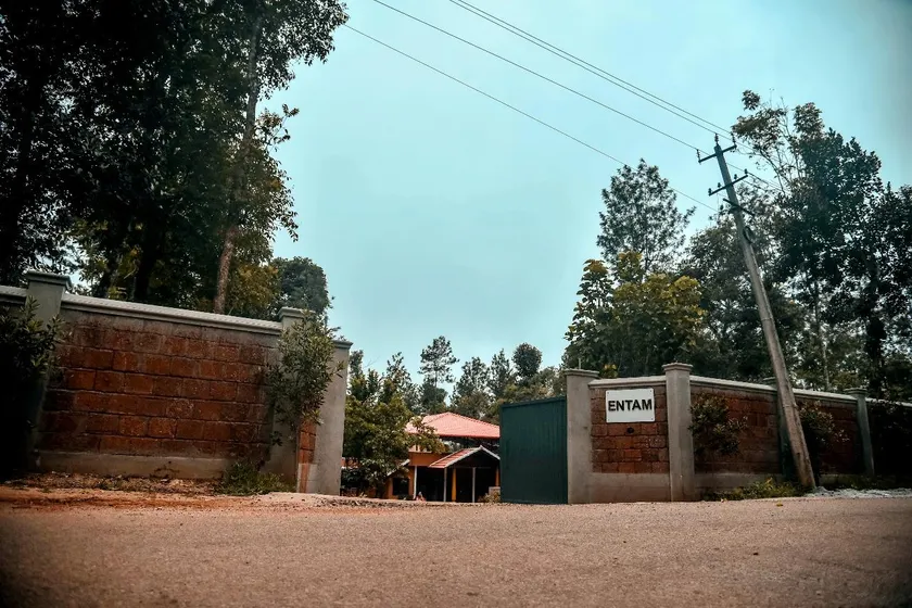 Entam Homestay - Image 1