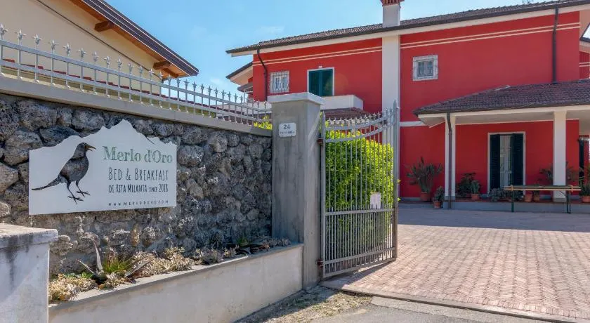 Merlo d'Oro - Image 1