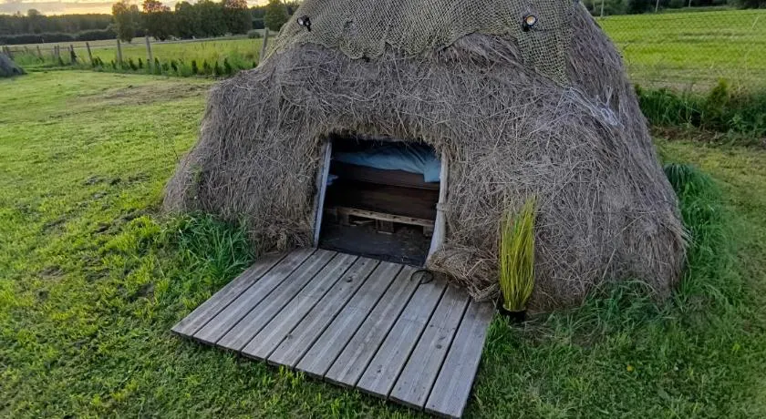 Buļļi atpūtas vieta - Image 1