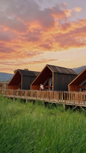 Dynasty Glamping Bedugul - Image 1