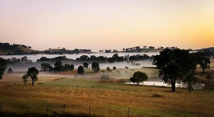 Grattai Grove Mudgee - Image 1