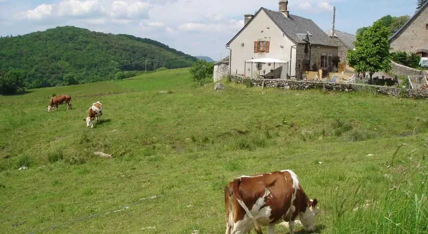 Chez Marraine - Image 1