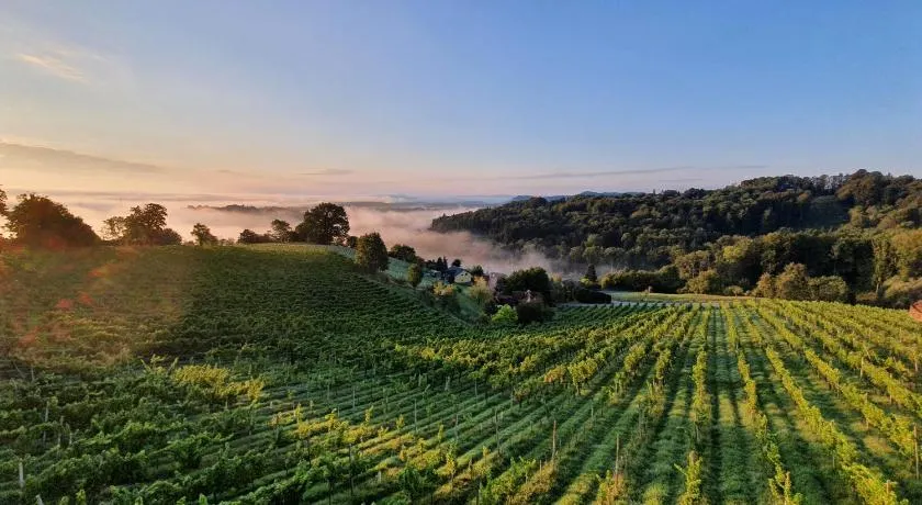 Weingut & Ferienwohnungen Lenhard - Image 1