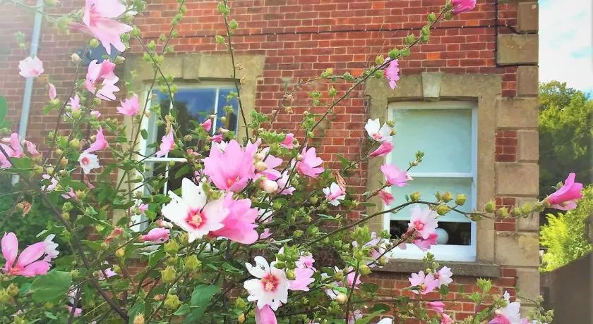 Bridport Garden Suite - Image 1