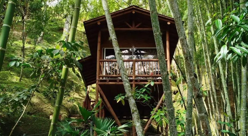 La Chorrera ecohotel - Image 1