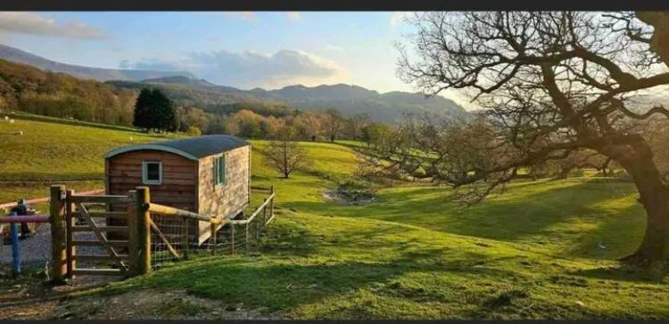 Shepherds hut Lowri - Image 1