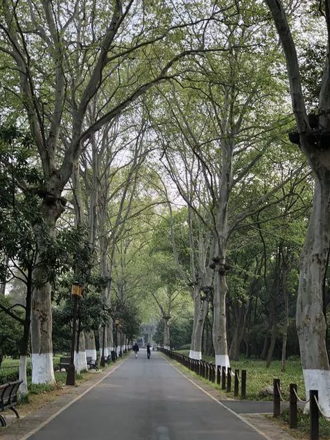 Chengshi Youpin Hotel(Wuhan University Branch) - Image 1