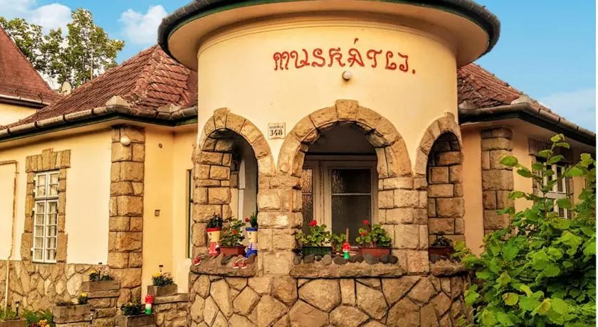 Muskátli Üdülőház - Image 1