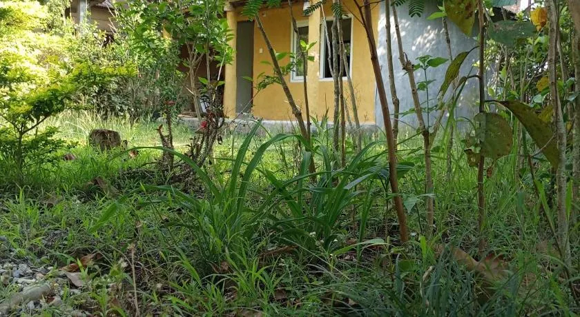 Temple chital homestay, safari and yoga - Image 1