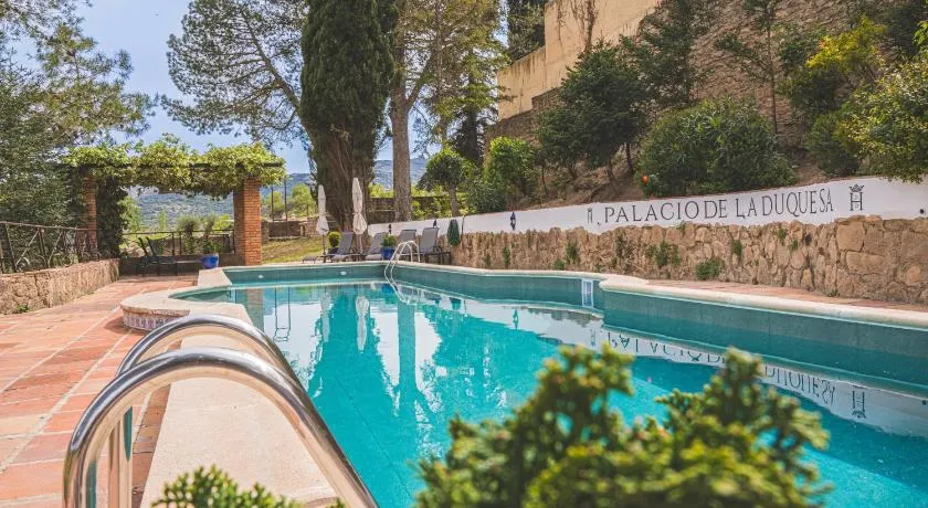 Hotel Boutique Palacio De La Duquesa - Image 1