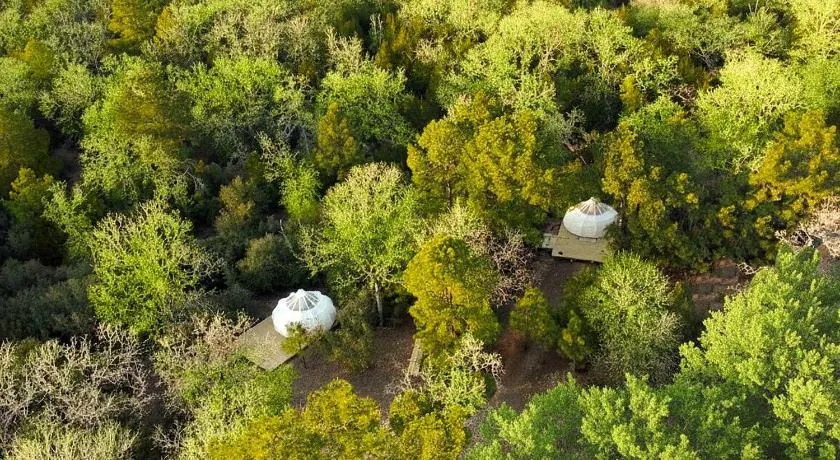 Scenic Glamping Tent Stay with Cozy Lounge Space in Smithville, Texas - Image 1