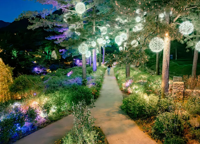 Gapyeong The Stay Healing Park - Image 1