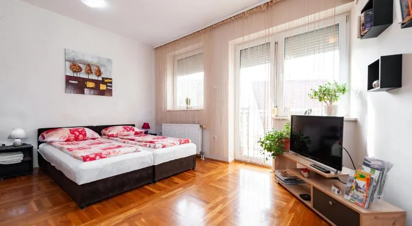 Momo's studio apartment Subotica - Image 1