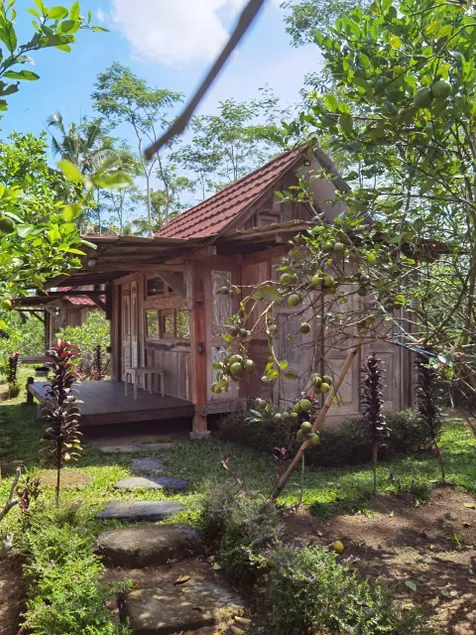 Homestay Ijen Lemon House - Image 1