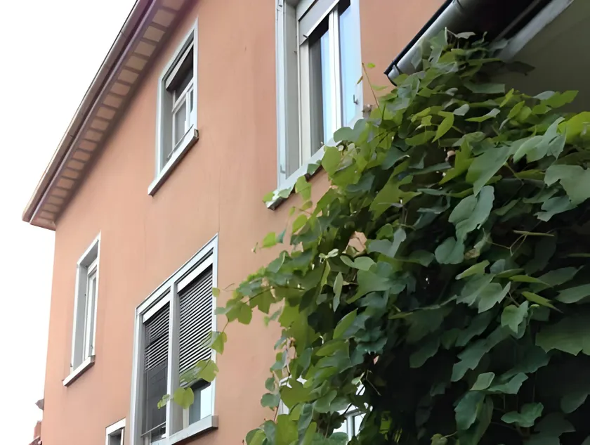 Park Villa Gernsheim - Image 1
