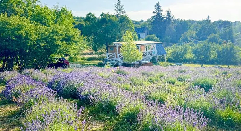 Tiny bohemian lodge at lake Balaton - Image 1