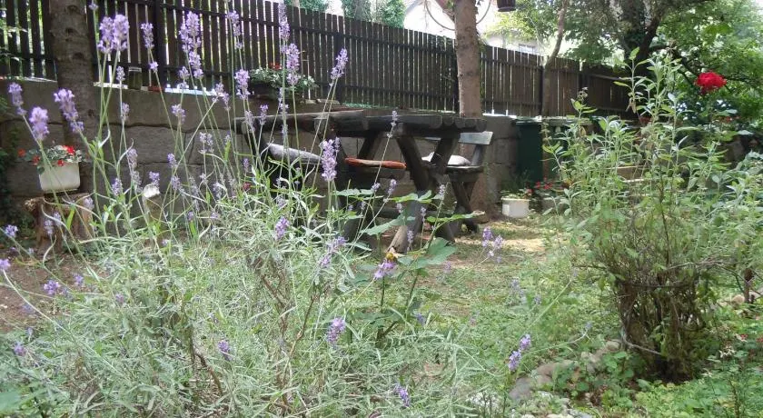 Apartmani Sobe BILJANA - Image 1