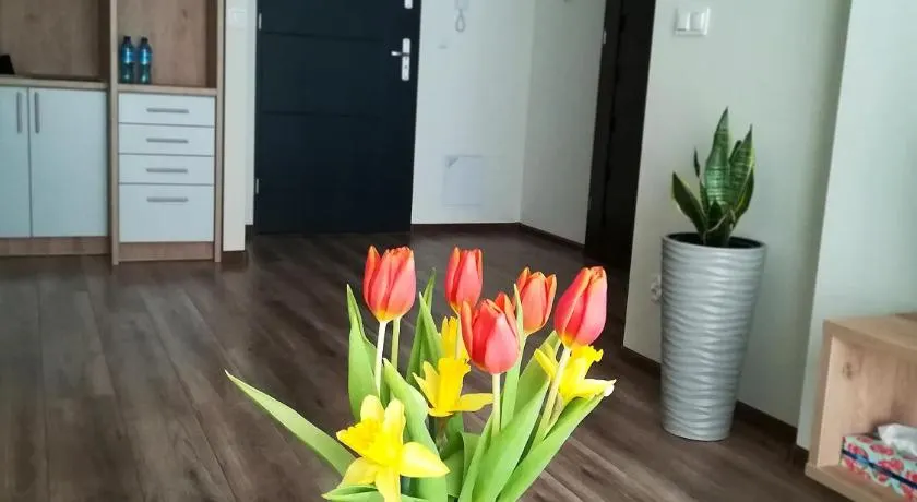 Modern - Image 1