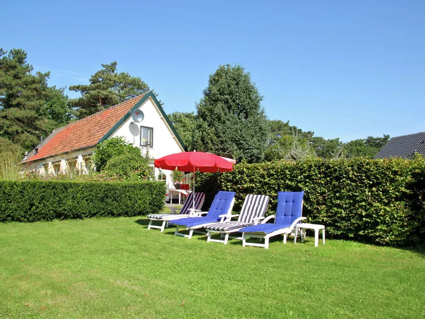 Detached holiday home in the centre of the forest in Schoorl - Image 1