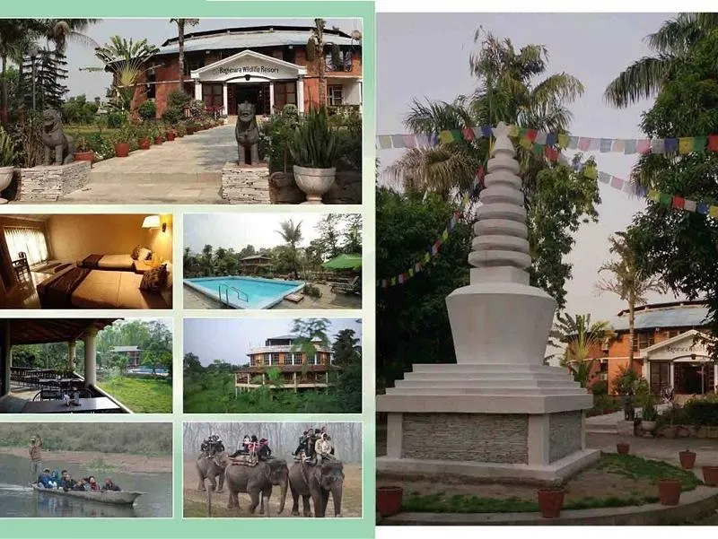 Baghmara Wildlife Resort - Image 1