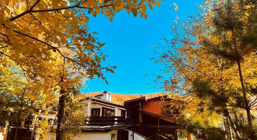 Alpinlife - Image 1