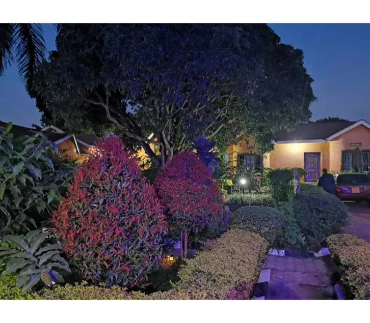 Gorilla African Guest House - Image 1