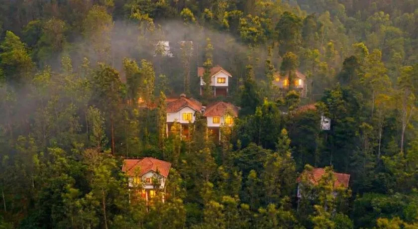 Peter's Coffee Creek Wayanad Pool Resort - Image 1