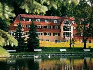 Parkhotel Bad Brambach - Image 1