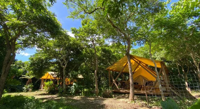 Ecostay Glamping Rainbow Forest - Image 1