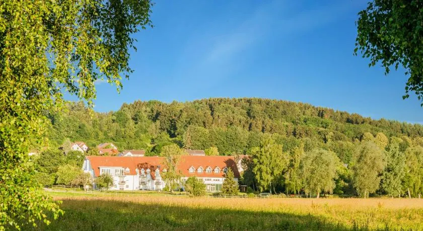 Landhotel Alte Mühle - Image 1