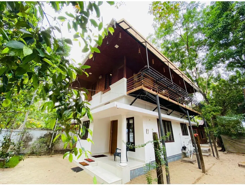 Coconut Garden - Image 1