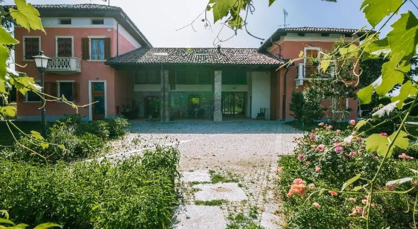 IN VIRIDI - Image 1