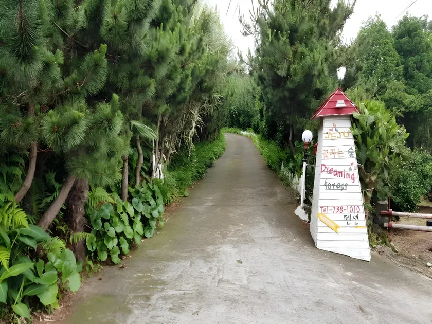 Dreaming Forest Pension Seogwipo - Image 1