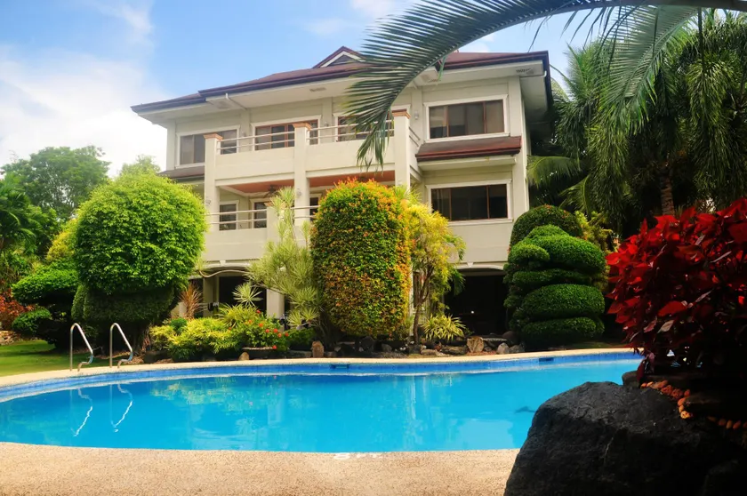 Alona Golden Palm - Image 1
