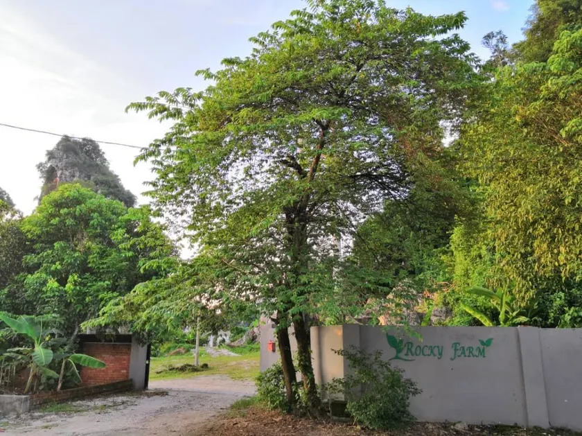 Rocky Farm - Image 1