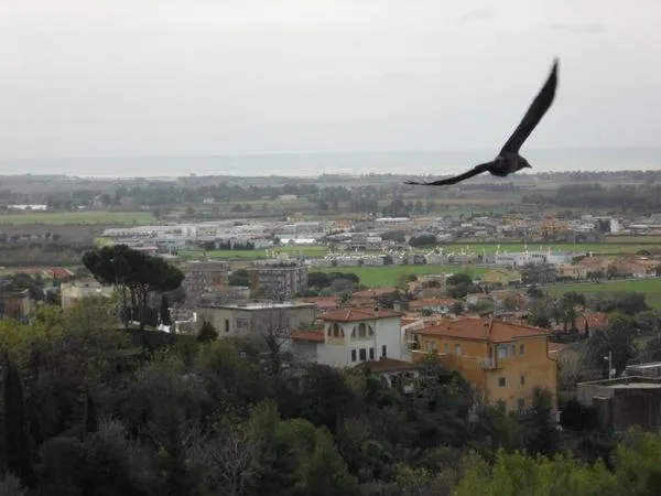 al castello - Image 1