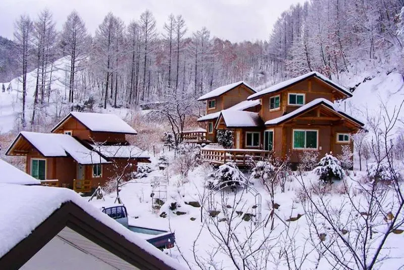 Pyeongchang Eomeonipumsok Maeul Pension - Image 1