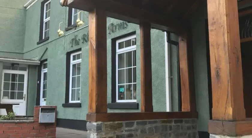 Rheolau arms - Image 1