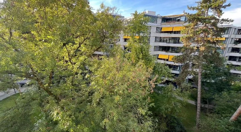 Room with a View - Image 1