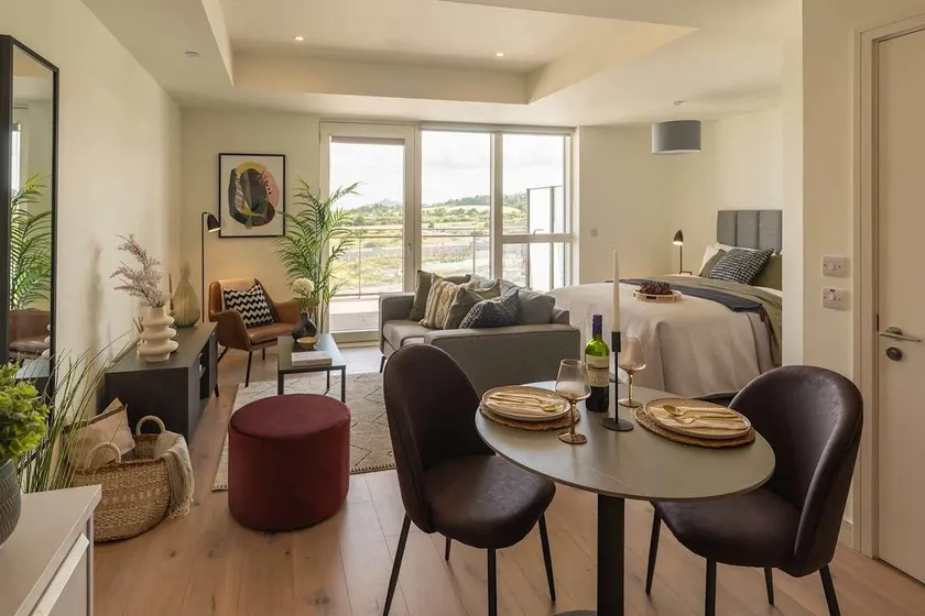 Large Luxurious Studio, Dublin18 - Image 1