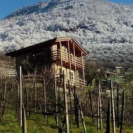 Una casa tra gli alberi - Image 1