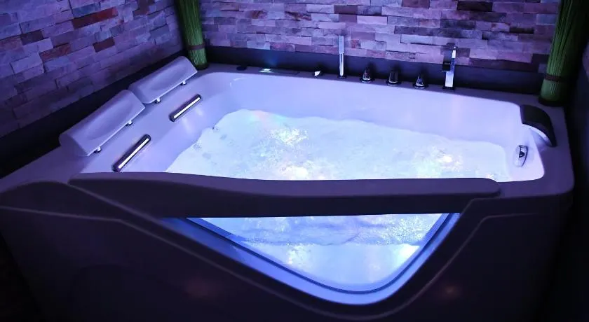 Appartement Tropical et JACUZZI Balnéothérapie Draveil - Image 1