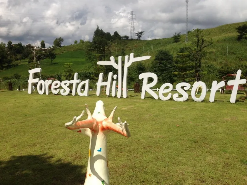 Foresta Hill Resort - Image 1