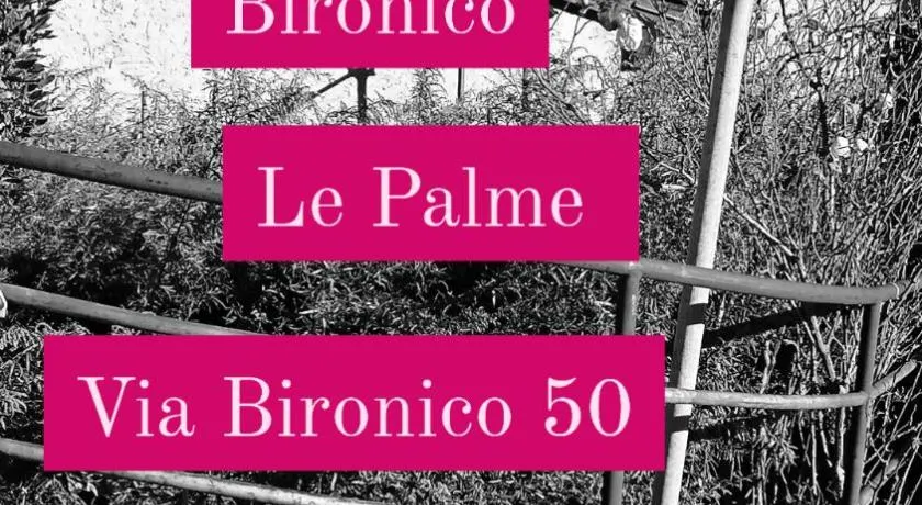 Le palme - Image 1