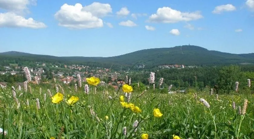Harzpension Haus Königskopf - Image 1