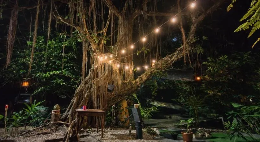 Natural Mystic Jungle Sanctuary 5 min beach walk - Image 1