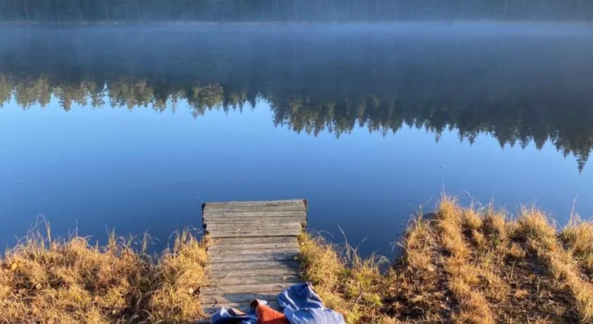 Energy place in the woods 30 min from Oslo - Image 1