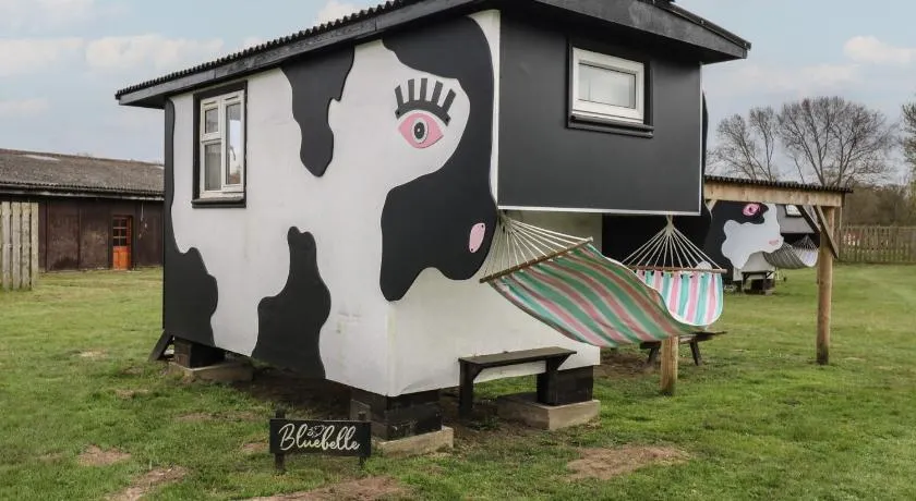 Bluebelle Cow Shed 5 - Image 1