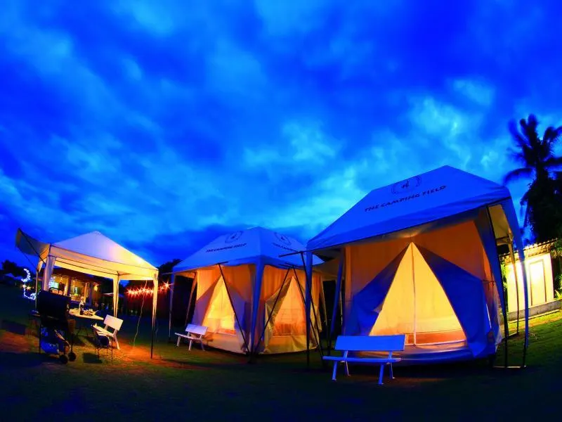 The Camping Field - Image 1